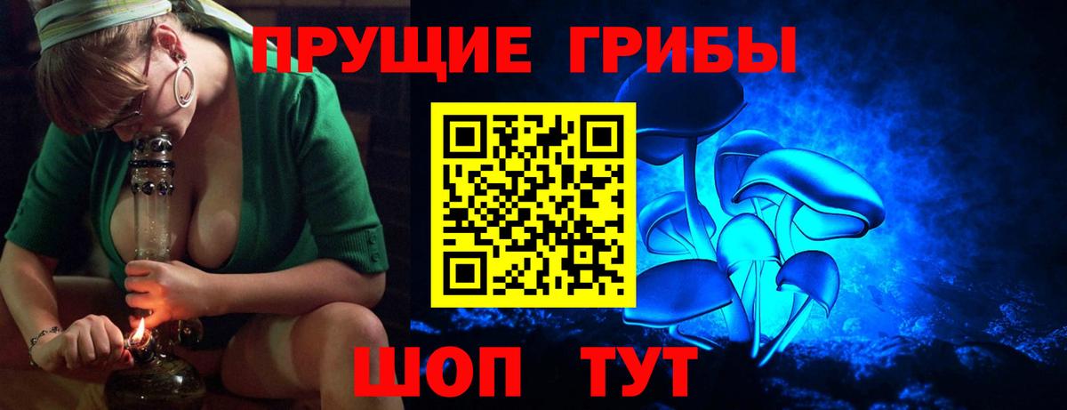 где купить   Вход с VPN  Семилуки  Псилоцибиновые грибы Psilocybine cubensis 